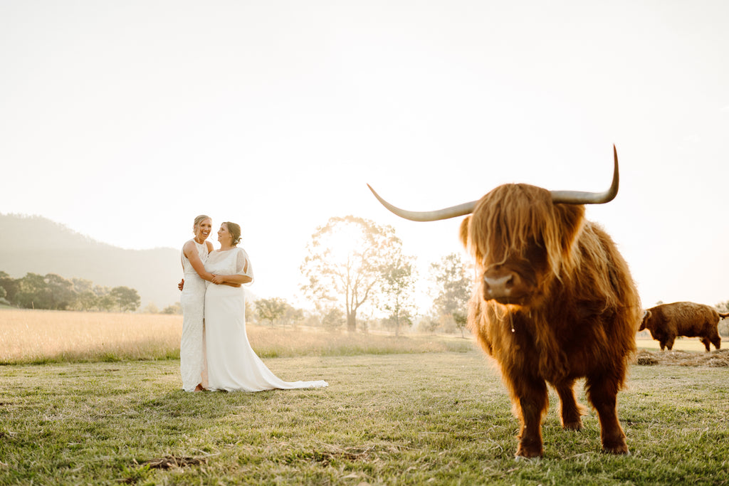 All Who Wander Set - RL24113